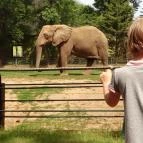 Hotel Dzsungel Nyíregyháza - Szórakozás/Sport