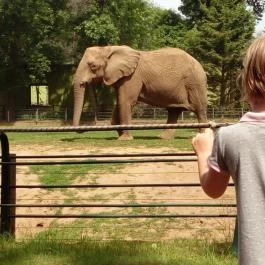 Hotel Dzsungel Nyíregyháza - Szórakozás/Sport