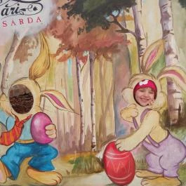 Sári Csárda, Dunakiliti - Egyéb