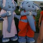 Velence Resort & Spa Velence - Szórakozás/Sport