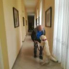 Arany Strucc Hotel Kőszeg - Belső