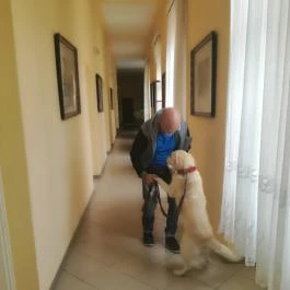 Arany Strucc Hotel , Kőszeg - Belső