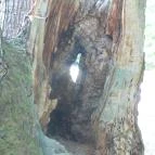 Benevár Étterem Mátrafüred - Egyéb