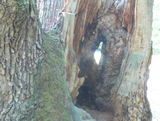 Benevár Étterem Mátrafüred