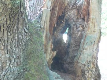 Benevár Étterem Mátrafüred