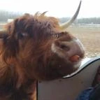 Richter Safari Park Nagykőrös - Egyéb