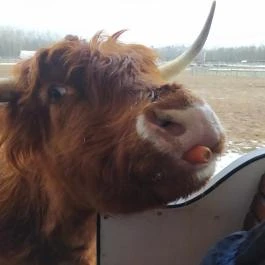 Richter Safari Park Nagykőrös - Egyéb