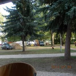 Tomaj Camping Riviera Apartman & Strand Badacsonytomaj - Medence/kert