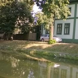 Aranykereszt Hotel Gyula - Környék