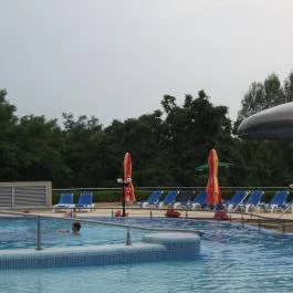 Thermal Hotel Visegrád Visegrád - Medence/kert