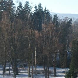 Erzsébet Park Hotel, Parádfürdő - Medence/kert