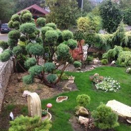 Szent Orbán Kisvendéglő Velence - Egyéb