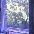 Mátrai Gyógyintézet Kékestető - Egyéb