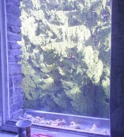 Mátrai Gyógyintézet 