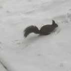 Mátrai Gyógyintézet Kékestető - Környék