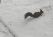 Mátrai Gyógyintézet Kékestető