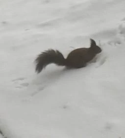 Mátrai Gyógyintézet 