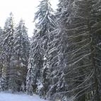 Mátrai Gyógyintézet Kékestető - Környék