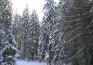 Mátrai Gyógyintézet Kékestető