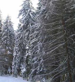 Mátrai Gyógyintézet 