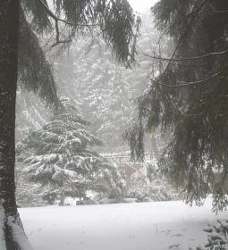 Mátrai Gyógyintézet 