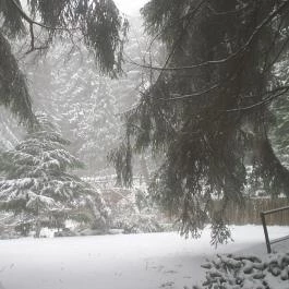 Mátrai Gyógyintézet , Kékestető - Környék