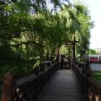 Aqua Hotel Gyula - Környék