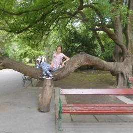 Hotel Tókert Lillafüred - Medence/kert