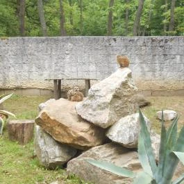 Hotel Tókert Lillafüred - Szórakozás/Sport