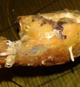 La' Rosa Pizzéria & Étterem