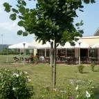 Szépia Bio & Art Hotel Zsámbék - Medence/kert