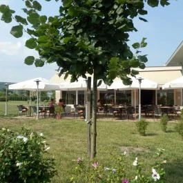 Szépia Bio & Art Hotel, Zsámbék - Medence/kert