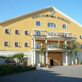 Egri Korona Borház & Wellness Hotel Demjén - Külső kép