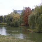 Hunguest Hotel Gyula Gyula - Medence/kert