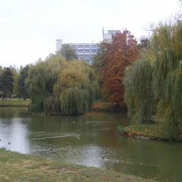 Hunguest Hotel Gyula Gyula - Medence/kert