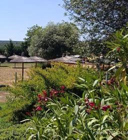 Demjéni Termáltó Fürdő