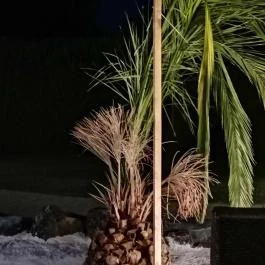 Belenus Thermalhotel Superior Zalakaros - Külső kép