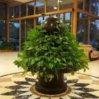 Colosseum Wellness Hotel Mórahalom - Belső