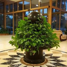 Colosseum Wellness Hotel, Mórahalom - Belső