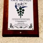 Európa Centruma Vendégház Tállya - Külső kép