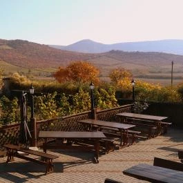 Európa Centruma Vendégház, Tállya - Környék