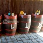 Európa Centruma Vendégház Tállya - Belső