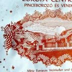 Európa Centruma Vendégház Tállya - Belső