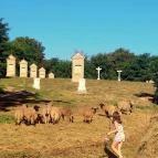 Verona Panzió Döbrököz - Környék