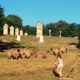 Verona Panzió Döbrököz - Környék
