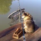 Nyugi Tanya Magyartés - Egyéb