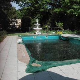 Misefa Kastély Misefa - Medence/kert