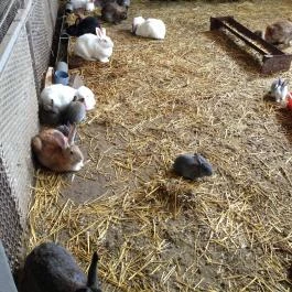 Hotel Aphrodite Zalakaros - Egyéb