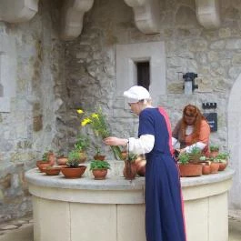 Diósgyőri Vár, Miskolc - 