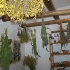 Diósgyőri Vár Miskolc - 